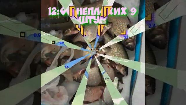 Рыбалка.31 декабря 2020 смотреть онлайн