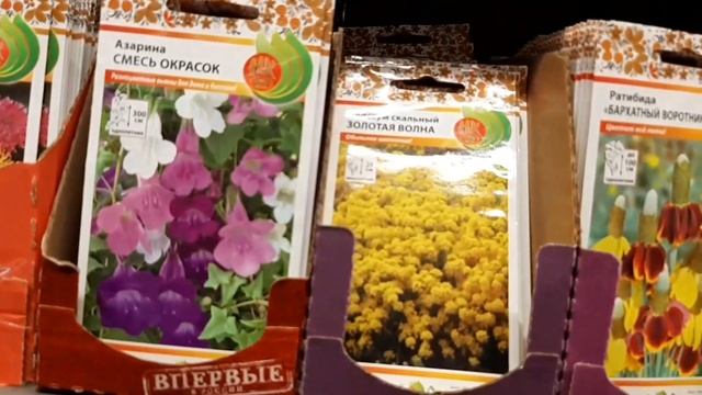 ЛЕРУА МЕРЛЕН , питомник в РАССКАЗОВО , SELGROS , прогулка , покупки. смотреть онлайн