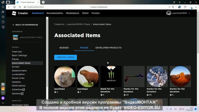 показываю как поставить цены в pls donat в roblox смотреть онлайн
