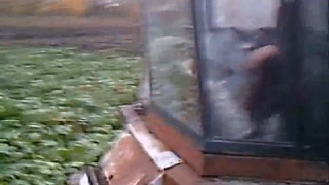 Ностальгия 2008г колхоз им Суворова Ефремовского р она Тульской обл смотреть онлайн