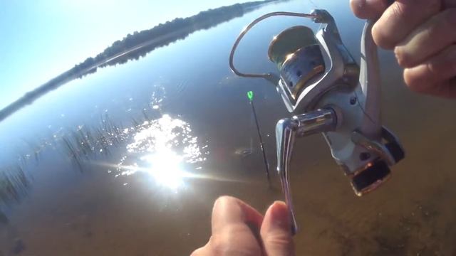 Утренний клёв не даёт покоя! Рыбалка на Рузе. смотреть онлайн