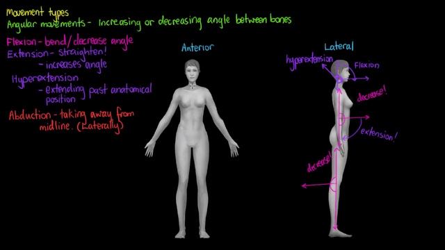 Movement Types- Angular Movements and Rotation смотреть онлайн