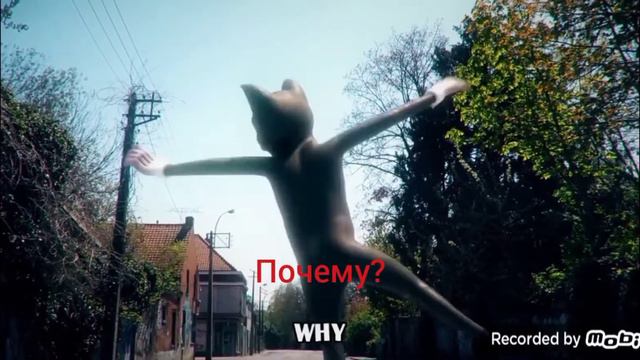 (официальная песня) картун кэт Плохая карма ( текст на русском)