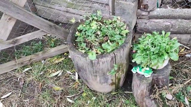 И не знаю как назвать это видео?♀️ смотреть онлайн