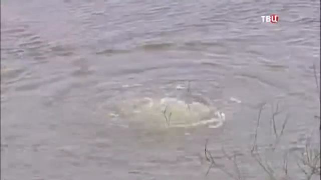 Какую воду мы пьём؟ смотреть онлайн