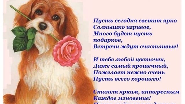 С юбилеем, Светлана! смотреть онлайн