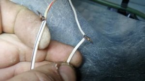 Магнитола работает а звука нет