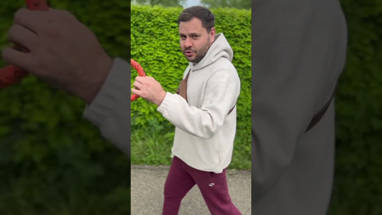 Минутка юмора) #тюльпаны #тюльпаныоптом #выгонкатюльпанов