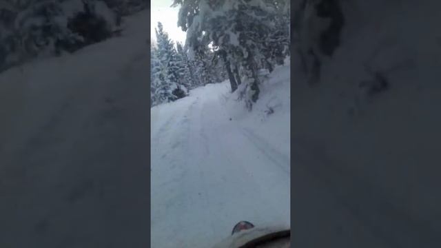 Открытие снегоходного сезона 2018 смотреть онлайн