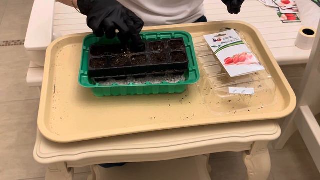 Посев семян томатов на рассаду смотреть онлайн