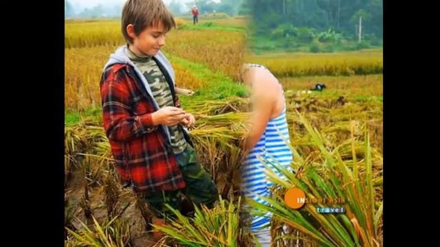 Vietnam tour - Wet Rice Civilization | Insight Asia Travel смотреть онлайн