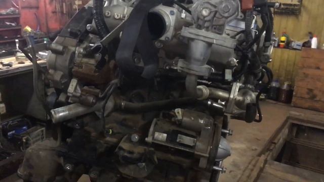 Контрактный 4D20 из Австралии смотреть онлайн