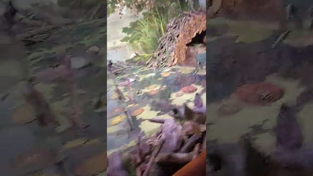 бобровая ферма смотреть онлайн