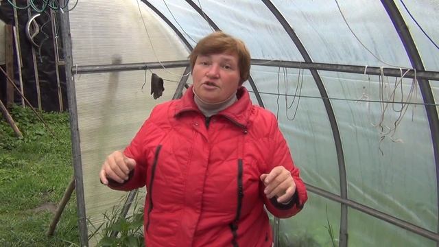 Замена поликарбоната на плёнку. Три года-полёт нормальный! смотреть онлайн