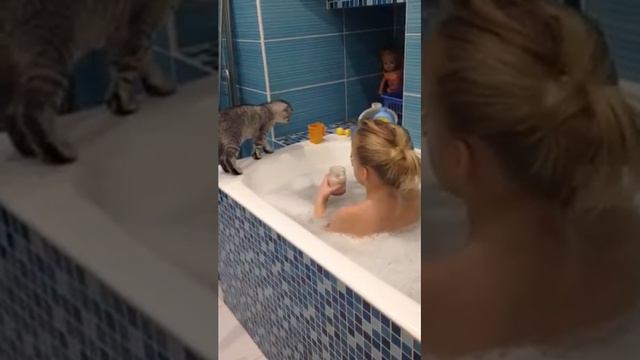 Кот в ванной смотреть онлайн