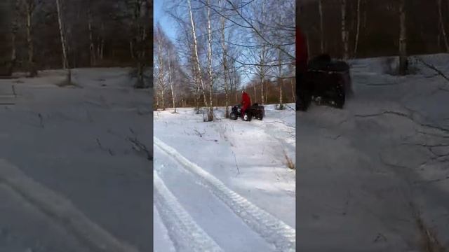 Конец зимы / начало весны / последний заезд на квадроцикле по снегу по лесу #shorts