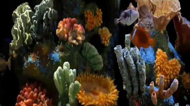 Музыка со звуком воды погружает в сон смотреть онлайн