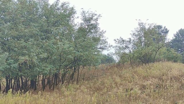 Ретроградный Мерурий в сентябре 2021. Важный период для всех... Что нужно обязательно сделать... смотреть онлайн