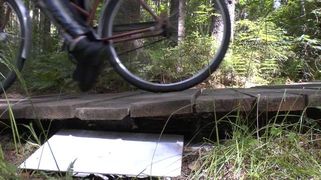 Экологическая тропа. Комарово. смотреть онлайн