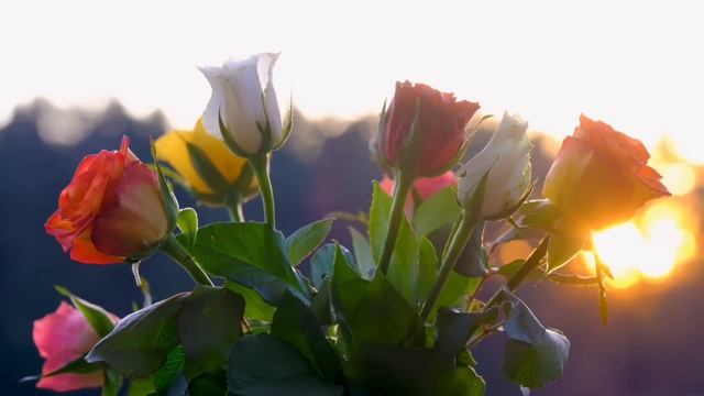 Зеркальная дата - 5 мая. Время загадывать желание. смотреть онлайн