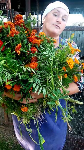 Это сделает ЯИЧНЫЙ ЖЕЛТОК БОЛЕЕ ЯРКИМ, смотреть онлайн