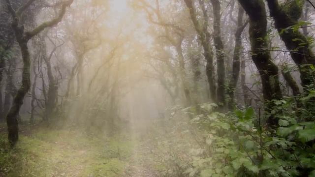 2 Hours Flute Music, Fantasy Music смотреть онлайн