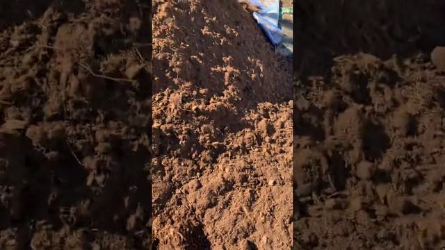 Торф верховой в мешках по 40кг смотреть онлайн