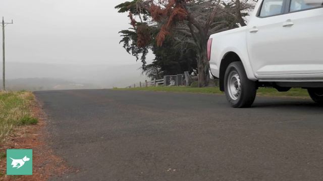 Very nice for a basic ute! (Mazda BT-50 1.9 2022 review)