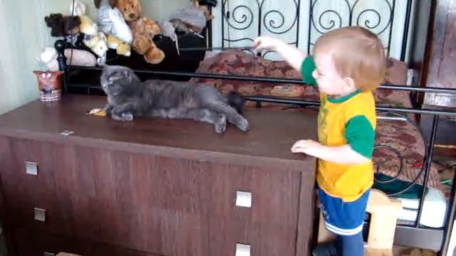 The young death eater смотреть онлайн