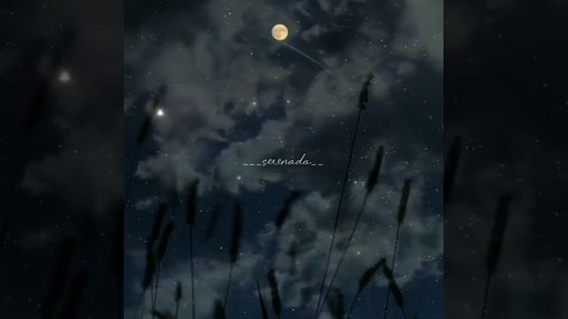 пайгамбарыбыздын акыркы созу смотреть онлайн