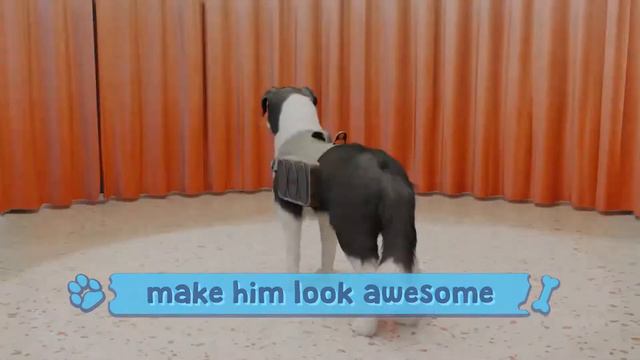 Dog Trainer [PC] Reveal Teaser смотреть онлайн