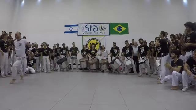 solo capoeira cogumelo смотреть онлайн