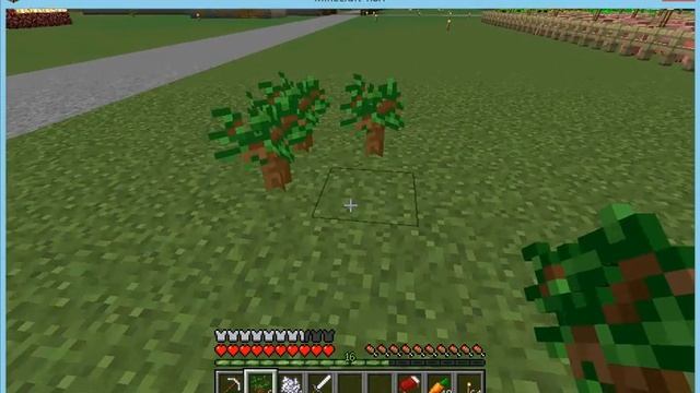 Как вырастить тёмный дуб в майнкрафте смотреть онлайн