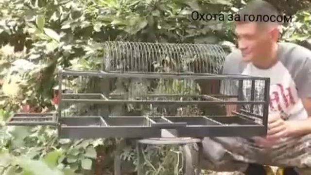 ловим горихвостку на западок смотреть онлайн