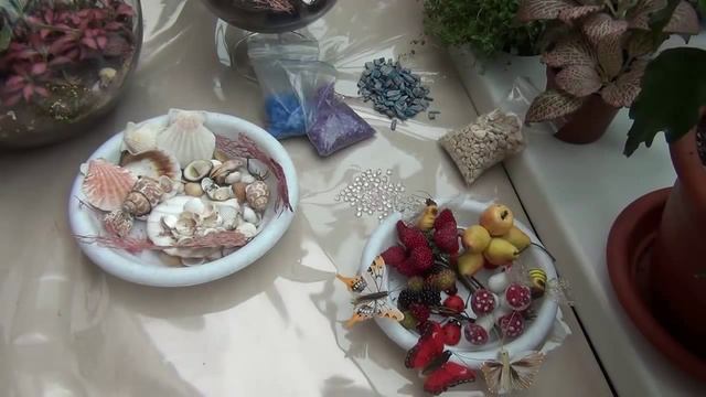 Растения и украшения для бутылочных садиков смотреть онлайн