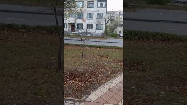 Липецк. Прогулка от Площади Металлургов и до Площади Франценюка. 12 октября. 2023 год. смотреть онлайн