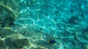 Hotel Arabella Azur Resort****. Лушие отели Хургады с коралловыми рифами. Египет 2023.