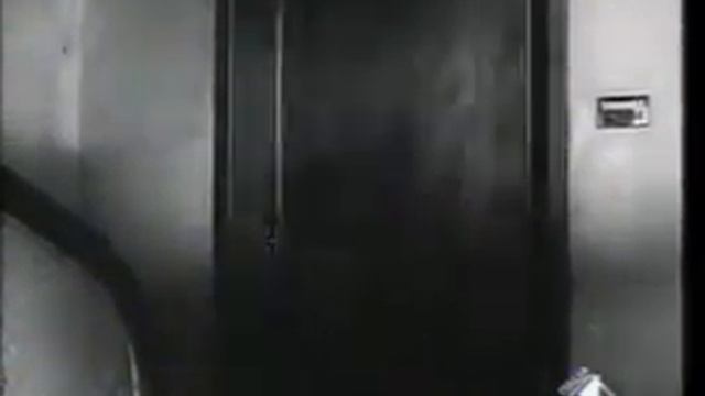 Film "Una di quelle" (1952) con Totò, Aldo Fabrizi, Peppino De Filippo, Lea Padovani. смотреть онлайн