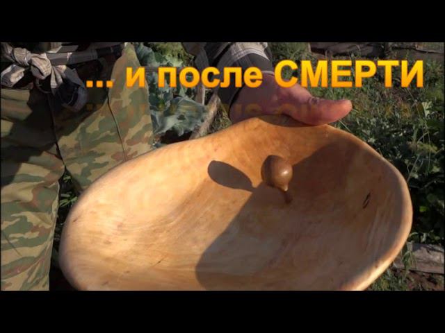 А вы готовы потерять все? смотреть онлайн