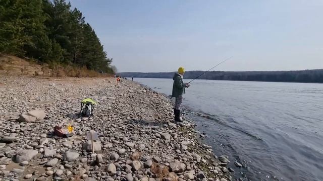 РЫБОЛОВНЫЙ ФЕСТИВАЛЬ "ВЕСЕННИЙ ХАРИУС 2022" на ЕНИСЕЕ. смотреть онлайн