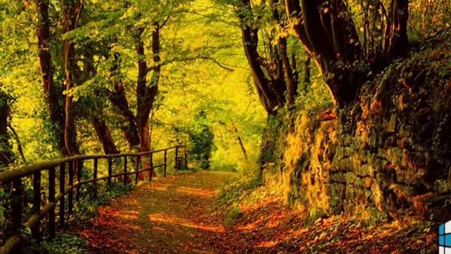 Надо уважать природу смотреть онлайн