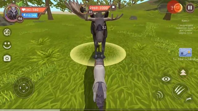 Wildcraft открываем 30 сундуков смотреть онлайн