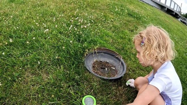 Из Германии в Россию / Что водится в лужах и клумбах Калининграда смотреть онлайн