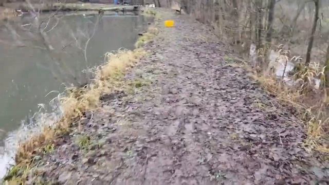 мой пруд, осетр, угорь, карась, форель, my pond , sturgeon , eel , crucian carp , trout смотреть онлайн