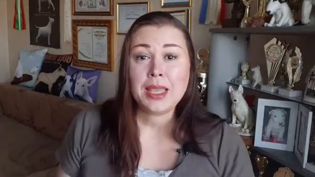 Натуральное питание собак. Мясо (часть 2) смотреть онлайн