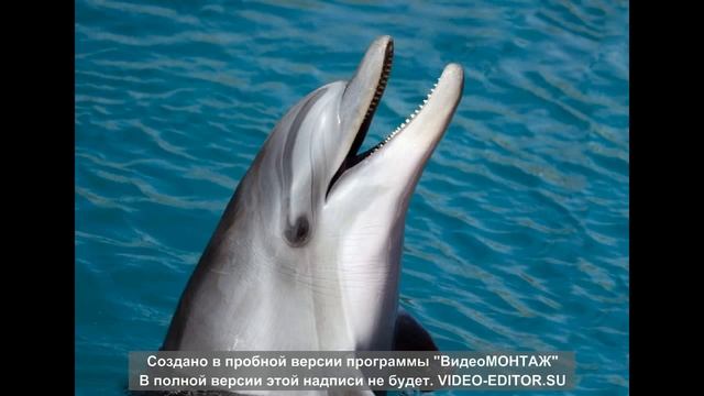 Спокойная Музыка Для Снятия Стресса - RELAXING PIANO - Music - Шум Океана/Stress Relief Music #Rela