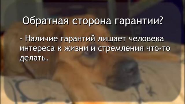 ГАРАНТИИ В БИЗНЕСЕ. Зачем нужны гарантии смотреть онлайн