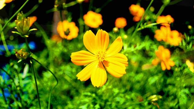 nikon d3000 photos смотреть онлайн