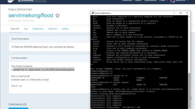 Flood Tool, docker-container setup смотреть онлайн
