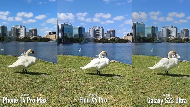 Galaxy S23 Ultra vs iPhone 14 Pro Max vs Oppo Find X6 Pro Camera Test смотреть онлайн